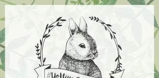 #MIRADANACIONAL ONG lanza mes de la Belleza Cruelty Free, buscando fomentar el respeto animal