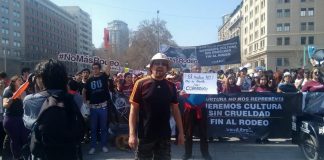 #TENDENCIAS Osvaldo Durán y su labor pro animal: “Los animales son parte de la naturaleza y uno debe respetarlos”