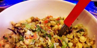 #SANTIAGO Harán segunda jornada de Reflexión Animalista, centrada en el Veganismo como filosofía de vida