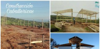 #VALPARAISO Lanzan campaña «Un techo para el Santuario» a beneficio del Santuario Clafira