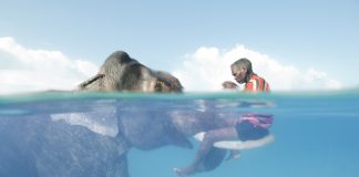 #SANTIAGO Llega a Chile aclamada exposición de National Geographic