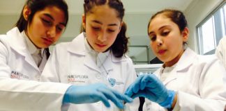 #MAULE UTalca invita a escolares a realizar investigaciones junto a sus científicos