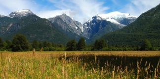 #MiradaNacional Consejo de Ministros para la Sustentabilidad ratifica creación de la Red de Parques de la Patagonia