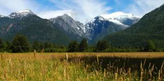 #MiradaNacional Consejo de Ministros para la Sustentabilidad ratifica creación de la Red de Parques de la Patagonia