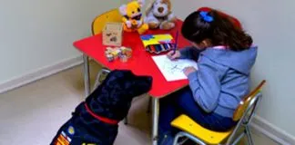 #SANTIAGO Inician proyecto que incorpora Perros de Asistencia Judicial en audiencias con niños