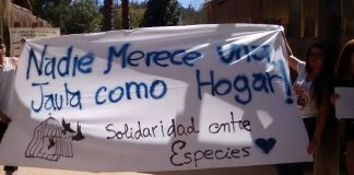 #VALPARAISO Personas se manifiestan afuera del Zoo de Quilpué exigiendo su reconversión