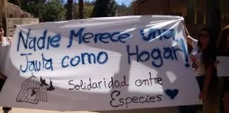 #VALPARAISO Personas se manifiestan afuera del Zoo de Quilpué exigiendo su reconversión