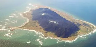 #BIOBIO Reserva Isla Mocha cumple 29 años en su labor de conservación de la fardela blanca