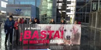 #SANTIAGO Sin medidas cautelares quedaron imputados por asesinato de Cholito tras formalización del Ministerio Público