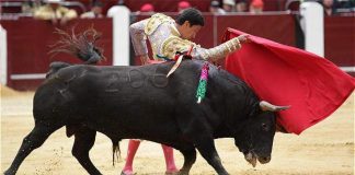 #COLOMBIA Gobierno presentó proyecto de ley para eliminar corridas de toros