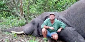 #SUDAFRICA Cazador profesional muere aplastado por un elefante
