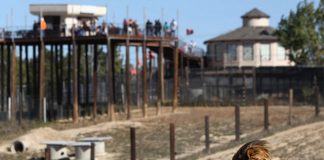 #ESTADOSUNIDOS Los propietarios de un santuario de Colorado han asesinado a todos sus animales