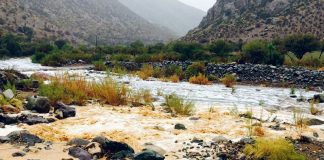 Experta internacional analizará la importancia de la investigación científica e interdisciplinar para la resiliencia ante desastres