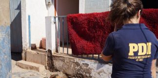 #ATACAMA Realizan operativo para ayudar a animales afectados por aluvión en Chañaral