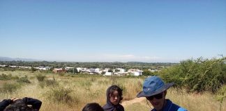 #MAULE UTalca invita a escolares a crear Clubes de Entomología