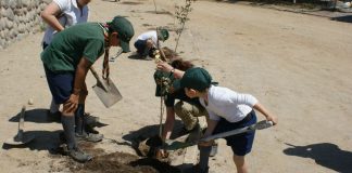 #MIRADANACIONAL Comienzan las primeras reforestaciones masivas de la campaña Reforestemos Chile Nativo