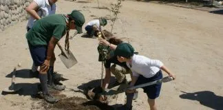 #MIRADANACIONAL Comienzan las primeras reforestaciones masivas de la campaña Reforestemos Chile Nativo