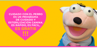 #SANTIAGO Hacen llamado a ocupar esterilizaciones gratuitas del plan «Cuidado con el perro»
