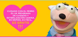 #SANTIAGO Hacen llamado a ocupar esterilizaciones gratuitas del plan «Cuidado con el perro»