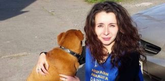 #LOSLAGOS Rescatistas chilotes se adjudican millonarios fondos estatales en pro de los animales