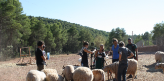 #SANTIAGO Harán exhibición del documental «Empatía» en beneficio de Fundación Vegetarianos Chile