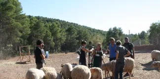 #SANTIAGO Harán exhibición del documental «Empatía» en beneficio de Fundación Vegetarianos Chile