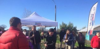#BIOBIO Plantaron más de 40 árboles en la villa Doña Francisca III de Chillán