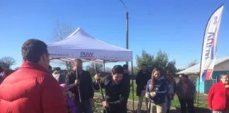 #BIOBIO Plantaron más de 40 árboles en la villa Doña Francisca III de Chillán