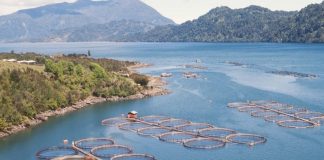 #PUNTOLEGAL Corte Suprema mantiene rechazo a salmonera que pretendía instalarse en la Reserva Nacional Kawésqar y a 1600 metros del Parque