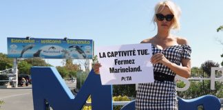 #MUNDO Conocida celebridad pidió el cierre de un parque marino en el sur de Francia