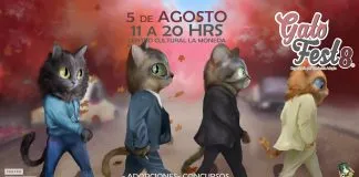 #SANTIAGO Harán nueva versión del Gato Fest este fin de semana