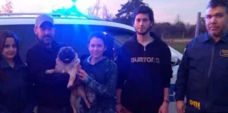#OHIGGINS PDI recupera a perro a casi un año de su robo en Olivar