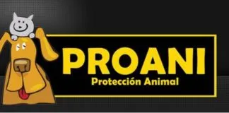 #SANTIAGO: ProAni realizará una nueva feria de las pulgas en pro de los animales de la Comuna de San Miguel
