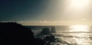 #OHIGGINS Lanzarán microdocumental sobre la reforestación y recuperación de suelos en la zona de Punta de Lobos