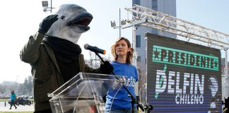 #Elecciones Alrededor de 3000 personas comprometen apoyo a peculiar candidato de Greenpeace