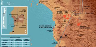#PUNTOLEGAL Las implicancias del fallo del Primer Tribunal Ambiental en relación a Dominga