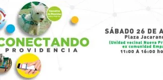 #SANTIAGO Harán nueva jornada pro animal y servicios municipales de #Providencia este fin de semana