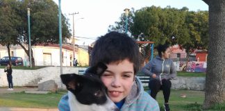 #EPAdifunde La historia de Lulú, una hermosa perrita viñamarina en búsqueda de un hogar