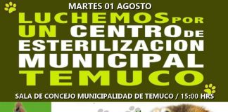 #LAARAUCANIA Llaman a presionar a autoridades municipales de Temuco en pos del cierre del Canil Municipal