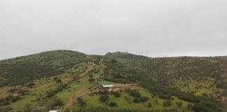 #VALPARAISO Harán nueva versión de Puertas Abiertas a beneficio del Santuario Clafira