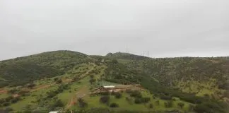#VALPARAISO Harán nueva versión de Puertas Abiertas a beneficio del Santuario Clafira