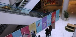 #TARAPACA MMA realizó exposición Conoce tu Fauna en Zofri y Mall Plaza Iquique