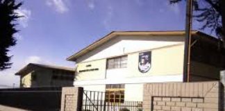 #MAGALLANES Denuncian cruel caso de maltrato animal al interior de conocido colegio en Punta Arenas