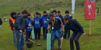 #SANTIAGO Jóvenes voluntarios reforestaron Cerro San Daniel en Maipú