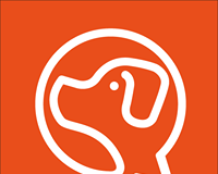 #SANTIAGO: Fundación Patiperros realiza su primera campaña para recaudar fondos