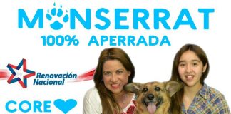 #ELECCIONES Monserrat Gallardo y su candidatura CORE por Rancagua » Quiero tener más armas para seguir gestionando lo que he hecho siempre»