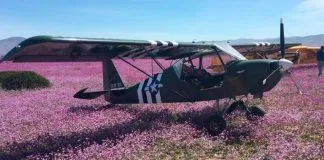 #ATACAMA El duro castigo que arriesgan los pilotos que aterrizaron sobre el Desierto Florido