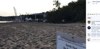 #MUNDO Tortugas «impiden» a millonarios celebrar lujosa boda en playa de Chipre