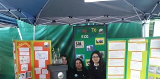 #MAULE Estudiantes se preparan para participar de Congreso Provincial Escolar de Ciencia y Tecnología