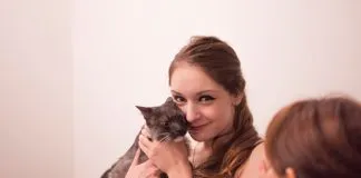 #SANTIAGO Harán nueva versión del #GatoFest este fin de semana en el Centro Cultural La Moneda